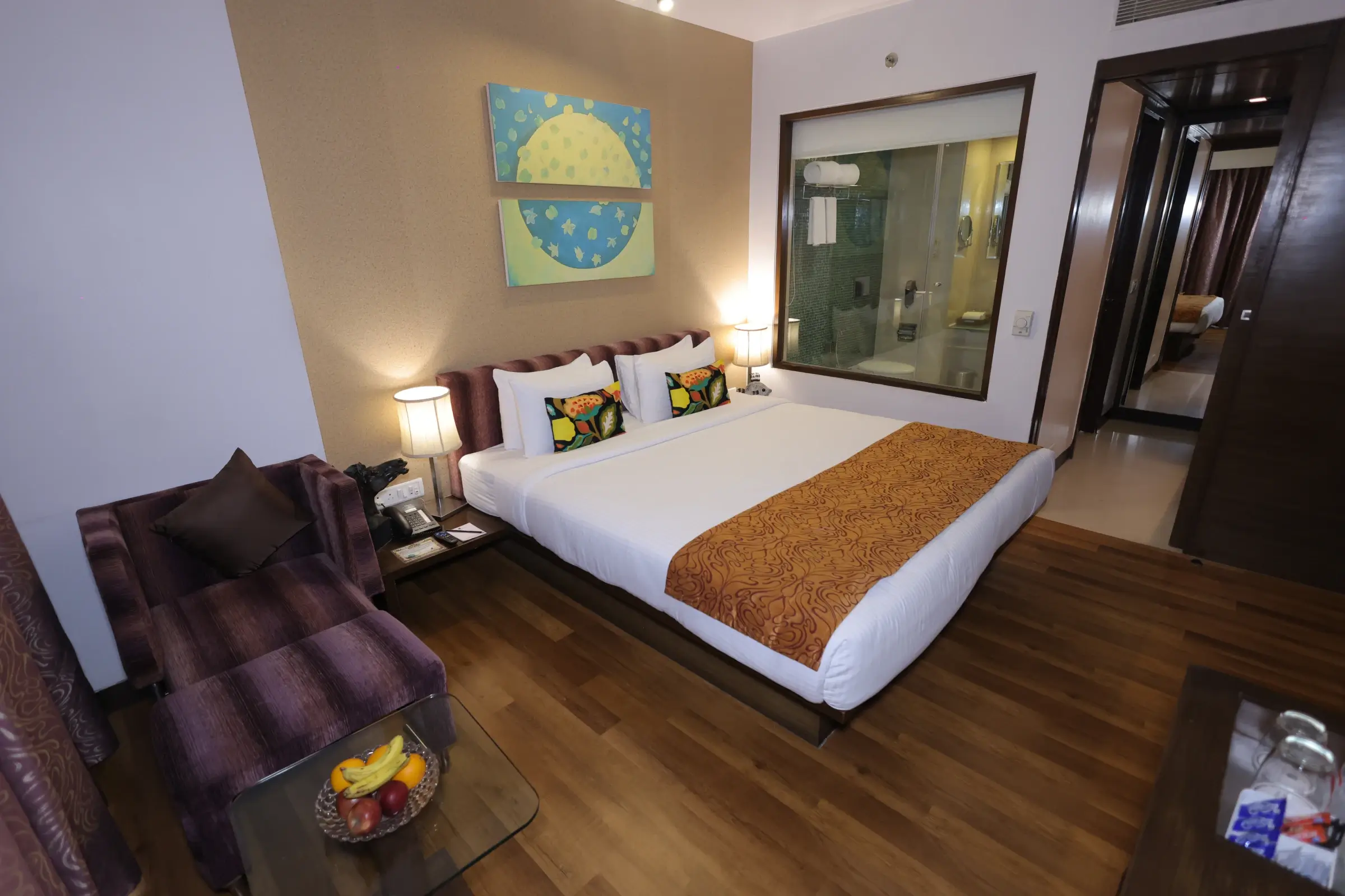 Premium Suite View 1